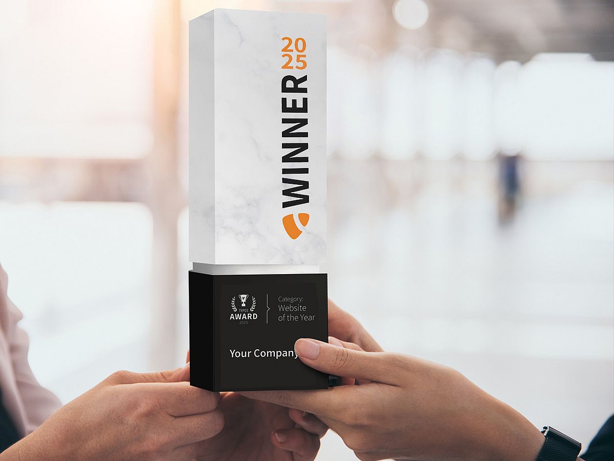 The 2025 TYPO3 Award trophy made of blocks of stone being held by two hands
