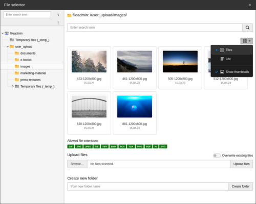 Screenshot of the TYPO3 backend that shows the element browser in TYPO3 v12.3 (tiles view)