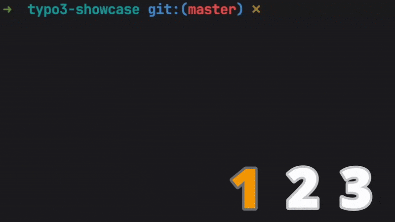 An animated Gif showing the command "ddev vite" being executed, TYPO3's frontend cache cleared, and a CSS file being edited with the change being instantly visible in a browser window.
